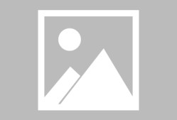 jiuyou-转会期波尔图调整名单以备中超，单刀错失环节打磨，态度坚定，阵容厚度经受考验的简单介绍